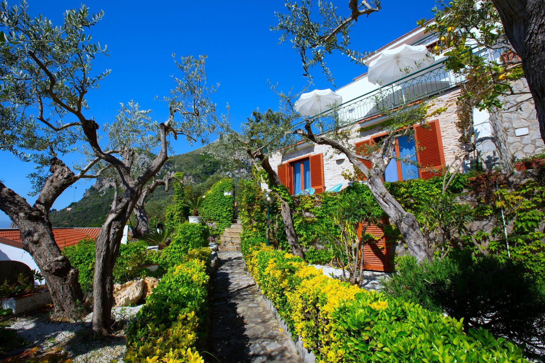Jamali villa photo.